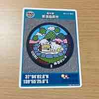Amazon.co.jp: 栃木県那須塩原市Bのマンホールカード : おもちゃ